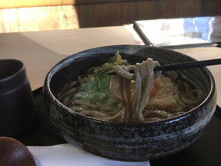 Resutoran Erie-Ru - 見た目はポソっとして硬そうやけど
                        めっちゃうまい！！
                        うどんの食感と蕎麦の風味を兼ねたサラブレッド