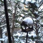 森彦 - 窓からの眺め