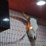 一条流がんこ総本家分家四谷荒木町 - 