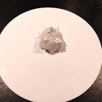 フロリレージュ - (2021年6月)アオリイカ