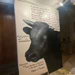 宮古牛焼肉 玉城 - 牛の絵