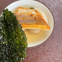 TRATTORIA CREATTA - 