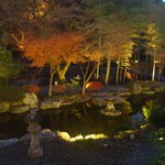 船山温泉 - 中庭の池