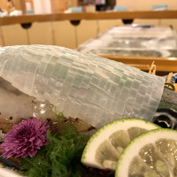 割烹 かじ 本店 - イカ活きづくり
