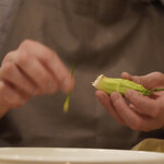 ペレグリーノ - 