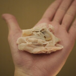 ペレグリーノ - 