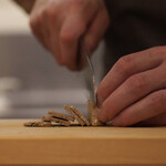 ペレグリーノ - 