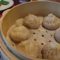 潮夢来 - 