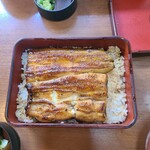 Unagi Irokawa - 