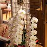 食堂バル スミカ - 