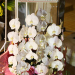 食堂バル スミカ - 