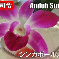 シンガポール・シーフード・リパブリック 大丸梅田 - 