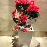 クレメンティア - ポインセチア…お店の白壁で、映えますね！
