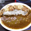 牛すじカレー 小さなカレー家