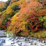 Hakone No Mori Okada - 箱根湯本からの道中