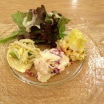 オトワキッチン - いろいろサラダの盛り合わせ