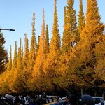 秩父宮ラグビー場 売店 - 