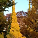 秩父宮ラグビー場 売店 - 