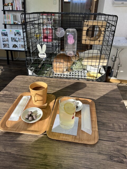 うさたんカフェ - 帯広（その他）の写真