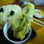 老稚園 - 天麩羅が本当に美味しいのです。