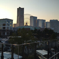 COLONIAL BEACH 横浜ハンマーヘッド - 