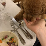 Le Chien Kyu Karuizawa