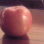 カアラ - な　な　何と　アップル社のモデルとなったリンゴ　その名もマッキントッシュ