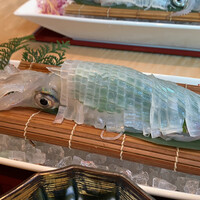 対馬のどぐろとイカ活き造り 博多 魚蔵 都ホテル店 - 