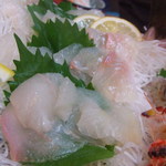 和の屋 - 鯛と鮃がいっぱい