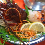 和の屋 - 伊勢海老のお造り一人一個付いてます