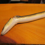 うなぎ屋酒坊・画荘 越後屋 - 大井川天然鰻