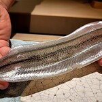 島津 - 大きい！