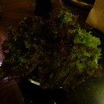 焼肉本舗 - 包み野菜