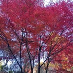 ベーカリーツキヨシ - 