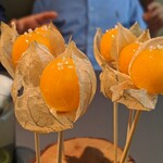 プレヴナンス - 