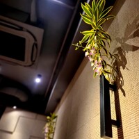 蕃 YORONIKU - 