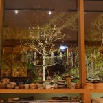 蕎麦と日本料理　驚　KYO - カウンターから見える庭綺麗です！