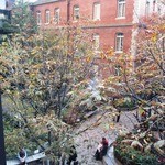 グリルうかい - 店内からは、きれいな中庭が見えます