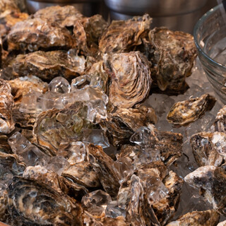 Enjoy Oyster raw, grilled, or fried!