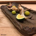 御料理 寺沢 - 北海道むかわ町産の本柳葉魚焼