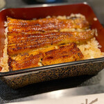 Unagi Fujita - 