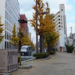 ココット - 銀杏が綺麗だったので♪