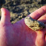 ハイアットリージェンシー 瀬良垣アイランド沖縄 - 