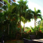 ハイアットリージェンシー 瀬良垣アイランド沖縄 - 