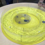 唐船峡 そうめん流し - 