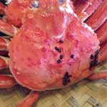 望洋樓 - 2012.12　茹で蟹（アップ）