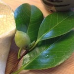 望洋樓 - 2012.12　椿の蕾が添えられてました。