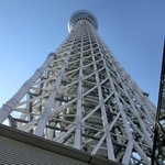 スパイスカフェ - 真下からの東京スカイツリー