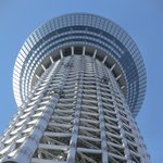 スパイスカフェ - 真下からの東京スカイツリー