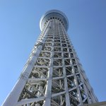 スパイスカフェ - 真下からの東京スカイツリー